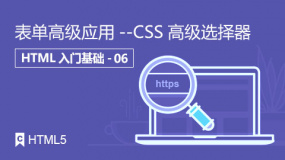 表单高级应用--CSS高级选择器