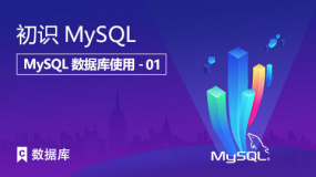 初识MySQL